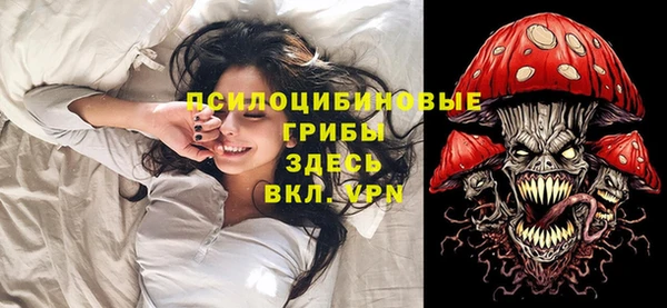 гашик Алексин