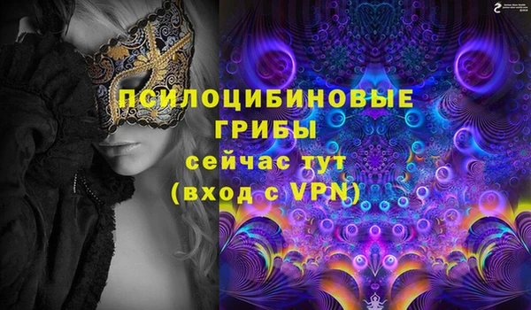 дмт Алзамай