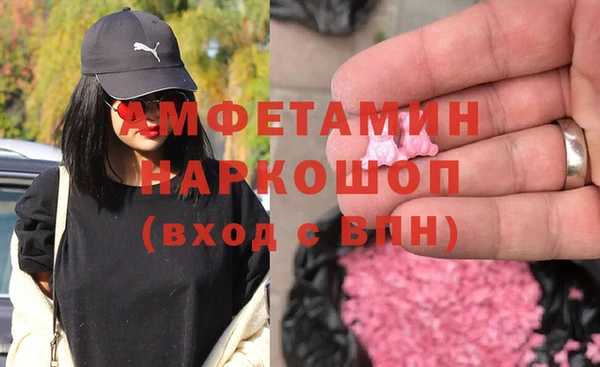 гашик Алексин
