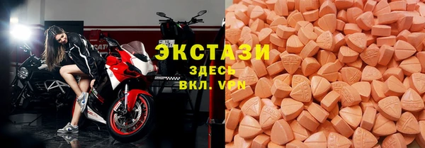 гашик Алексин